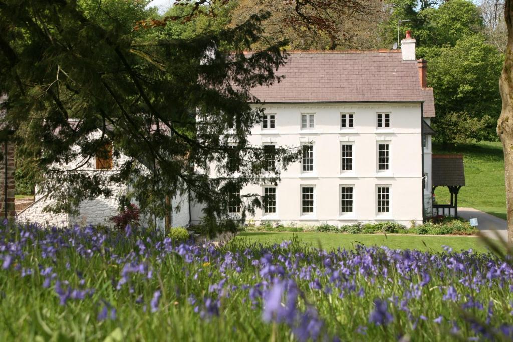 Grove Of Narberth Hotel Exterior photo